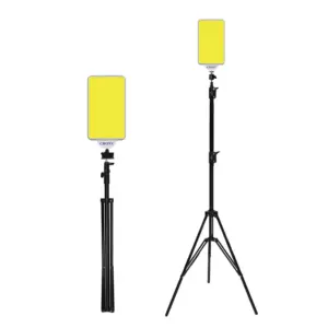 چراغ چند منظوره فضای باز کرونی| CRONY VIP-02 Outdoor 60W Multi-Fuction light